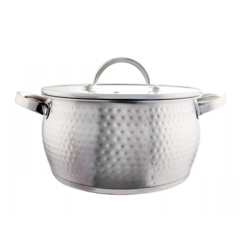 Stainless Steel Cooking Pot with Glass Lid Silver