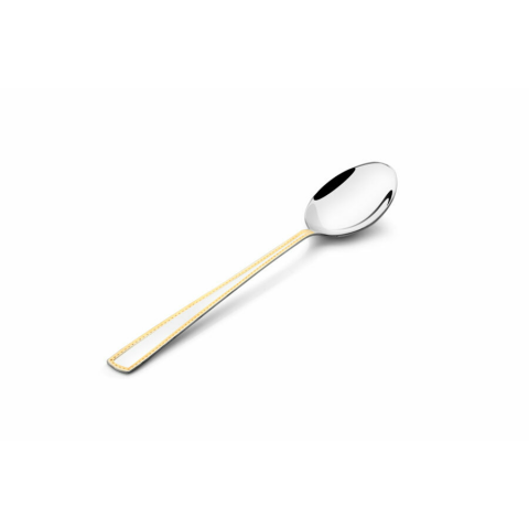FNS Radiant Serving Spoon