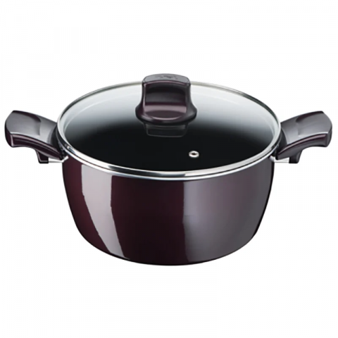 Tefal Resist Intense Stew-Pot with Glass Lid 